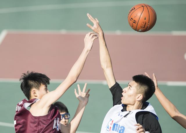 精品一区二区三区在线成人