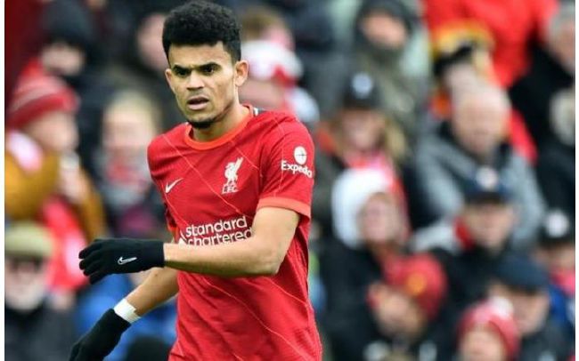 精品国产高清a毛片无毒不卡