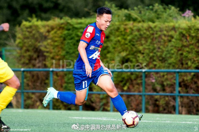 综合在线播放