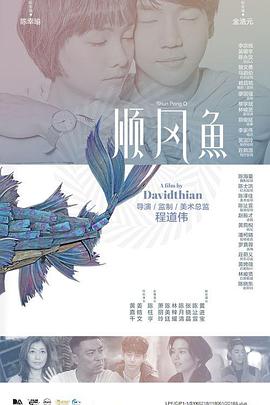黄色三极片