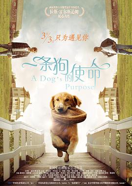 婷婷六月丁香
