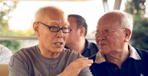 桥本有菜av在线